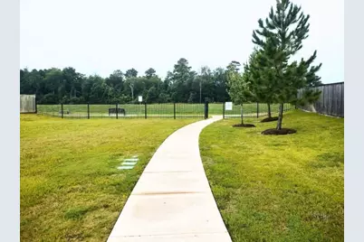 25392 Northpark Lake Drive, Porter, TX 77365 - Photo 10