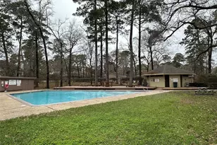 11530 Twain Dr, Montgomery, TX 77356 - Photo 20