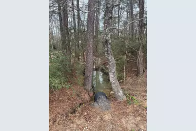 14871 Fannin Rd, Willis, TX 77378 - Photo 2