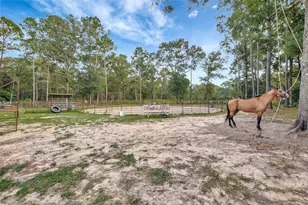 10677 Fm 2432 Rd, Conroe, TX 77303 - Photo 4