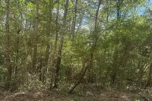 00 Patricia Dr, Livingston, TX 77351 - Photo 1