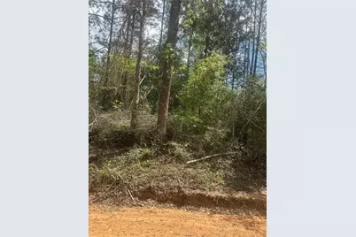 00 Patricia Drive, Livingston, TX 77351 - Photo 4