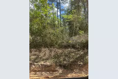 00 Patricia Drive, Livingston, TX 77351 - Photo 10