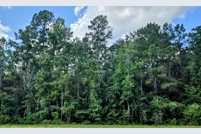 147 Eagle Run Road, Willis, TX 77378 - Photo 8