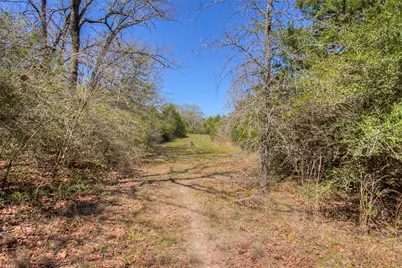 Tbd County Road 482, Normangee, TX 77871 - Photo 24