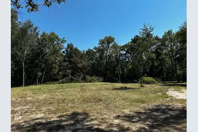 216 Pecan Loop Drive, Baytown, TX 77523 - Photo 10