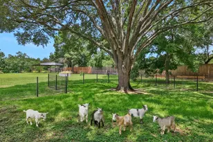 19407 Pine Tree Ln, Waller, TX 77484 - Photo 40