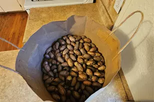 603 Landrum Ave, League City, TX 77573 - Photo 16