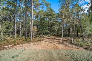 11332 Annie Creek Dr, Willis, TX 77378 - Photo 4