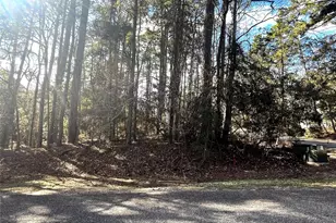 179 Green Tree Dr, Coldspring, TX 77331 - Photo 1