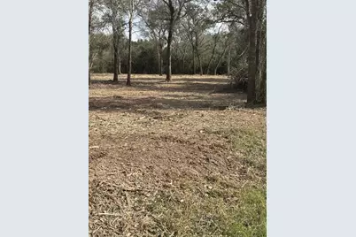 0 Tinkler, Rock Island, TX 77470 - Photo 4