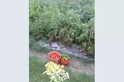 9235 Ruth Road, Rosharon, TX 77583 - Photo 44