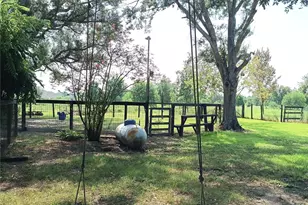 9235 Ruth Rd, Rosharon, TX 77583 - Photo 42