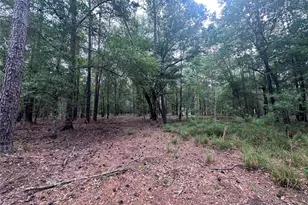 2518 FM943, Livingston, TX 77351 - Photo 1