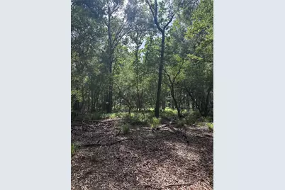 2518 Fm 943, Livingston, TX 77351 - Photo 6