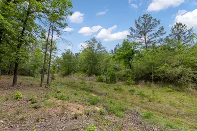 15396 Forest Grove Drive, Willis, TX 77378 - Photo 4