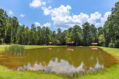 15396 Forest Grove Drive, Willis, TX 77378 - Photo 30