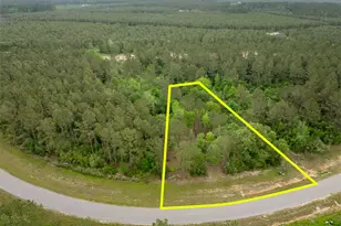 15396 Frst Grv Dr, Willis, TX 77378 - Photo 1