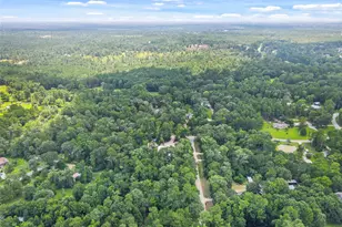 Tbd Fisher Ln, Willis, TX 77378 - Photo 8