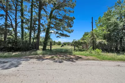 36085 Lomax Road, Brookshire, TX 77423 - Photo 4
