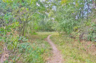 11926 Carriage Hill Dr, Houston, TX 77077 - Photo 44