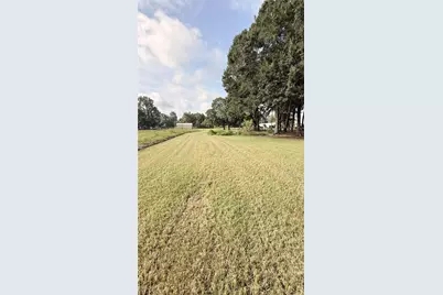 0 County Road 2198, Cleveland, TX 77327 - Photo 1