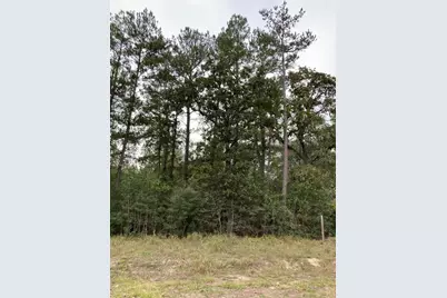 16596 Camelia Lane, Plantersville, TX 77363 - Photo 4