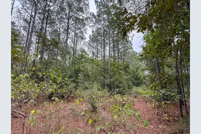526 Mount Pisgah Road, Woodville, TX 75979 - Photo 20