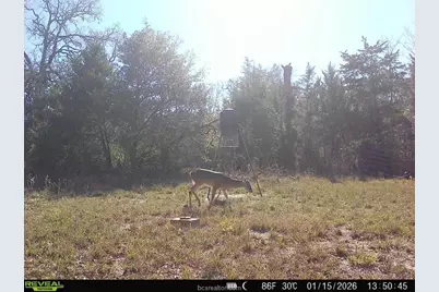 12863 Emu Lane, North Zulch, TX 77872 - Photo 26