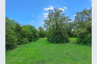 12863 Emu Lane, North Zulch, TX 77872 - Photo 28