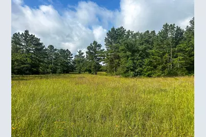 2456 Cr 4550, Pennington, TX 75856 - Photo 16