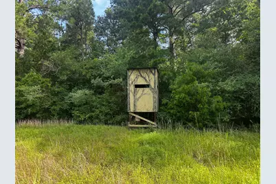 2456 Cr 4550, Pennington, TX 75856 - Photo 12