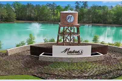 16165 Sepia Manor Street, Conroe, TX 77302 - Photo 6