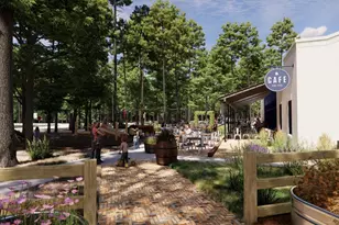 11354 Bellville Dr, Montgomery, TX 77316 - Photo 30