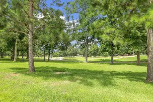 11126 Twain Dr, Montgomery, TX 77356 - Photo 28