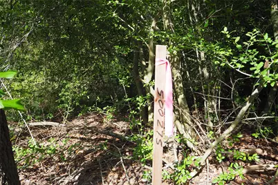 0 N Moss Creek Drive, Cypress, TX 77429 - Photo 6