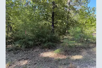 Tbd Cr 3385, Lovelady, TX 75851 - Photo 4