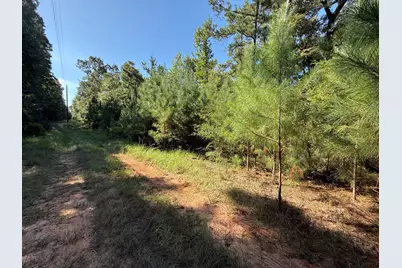 Tbd Cr 3385, Lovelady, TX 75851 - Photo 6