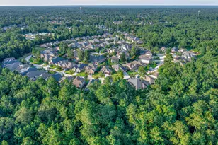 255 Capriccio Ln, Montgomery, TX 77316 - Photo 40