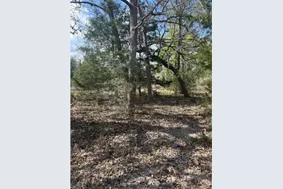 3060 Brunes Mill Road, Columbus, TX 78934 - Photo 4