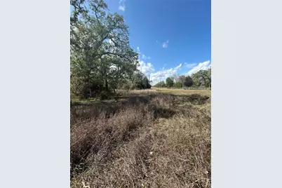 3060 Brunes Mill Road, Columbus, TX 78934 - Photo 6