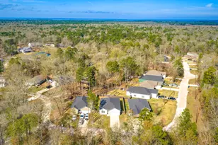 192 S Village Cove Loop, Livingston, TX 77351 - Photo 46