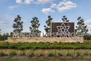 25227 Leather Leaf Ct, Montgomery, TX 77316 - Photo 4