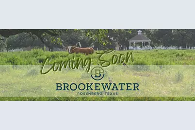 111 Blue River Trail, Rosenberg, TX 77471 - Photo 28