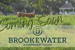 111 Blue River Trl, Rosenberg, TX 77471 - Photo 28