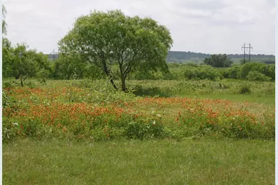 11913 McAngus Road, Del Valle, TX 78617 - Photo 8