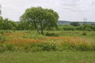 11913 McAngus Rd, Del Valle, TX 78617 - Photo 8