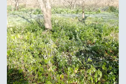 11913 McAngus Road, Del Valle, TX 78617 - Photo 18