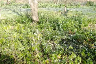 11913 McAngus Rd, Del Valle, TX 78617 - Photo 18