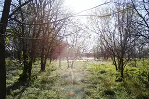 11913 McAngus Rd, Del Valle, TX 78617 - Photo 10